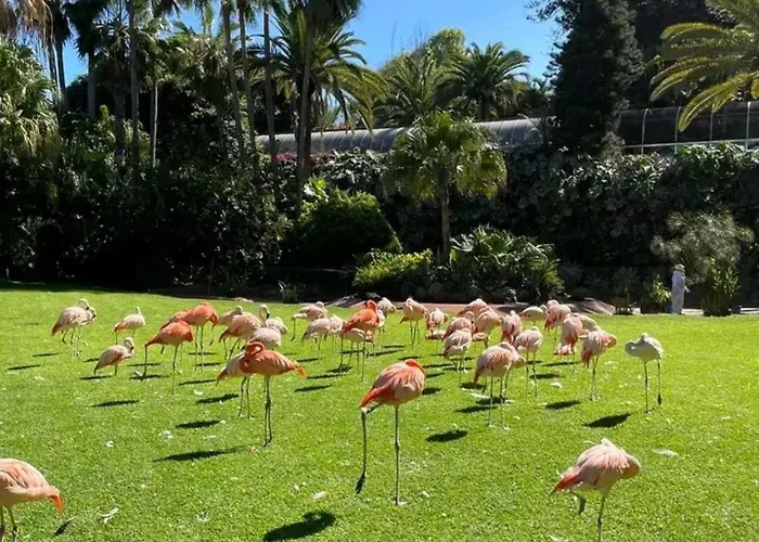 2-bed House Sleeps 4 With Free Parking * Puerto de la Cruz (Tenerife)